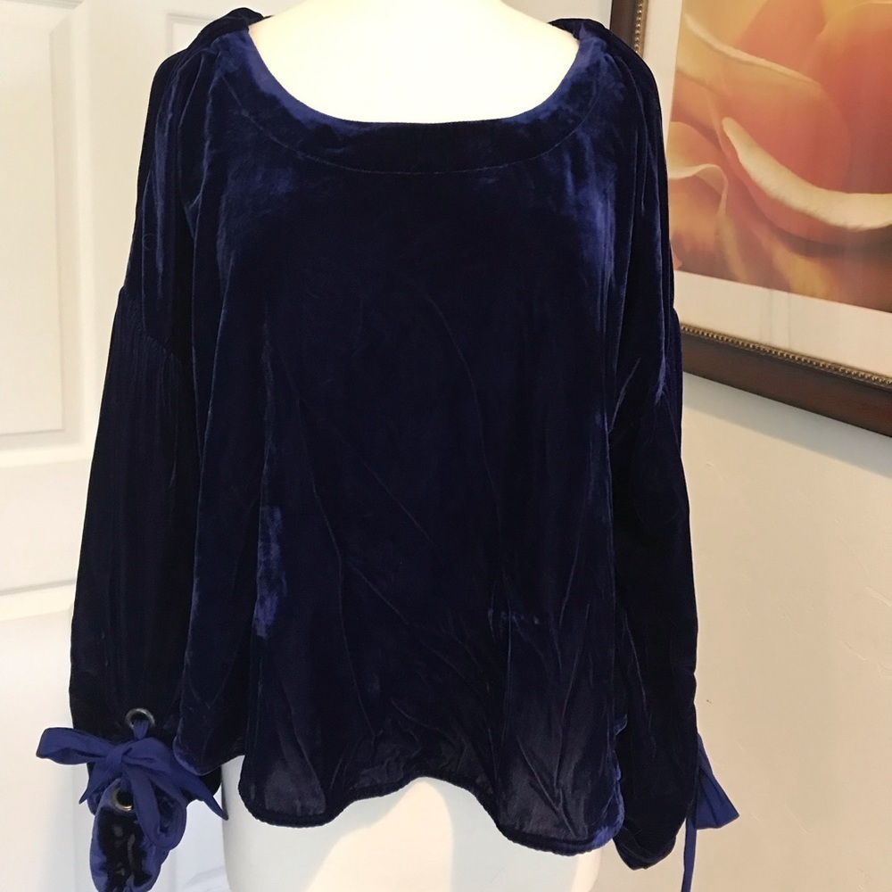 Blue Velvet Top